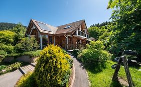 Chalet Du Pont Des Fées